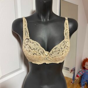 Elegant Lace Bra in Cream